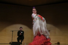 2020-01-31-Flamenco-auditorio-063