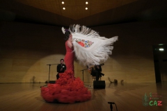 2020-01-31-Flamenco-auditorio-064