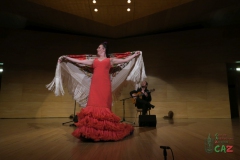 2020-01-31-Flamenco-auditorio-065