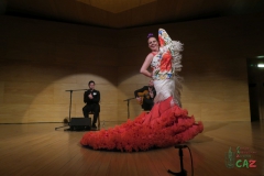 2020-01-31-Flamenco-auditorio-066