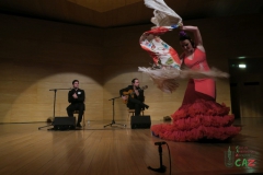 2020-01-31-Flamenco-auditorio-067