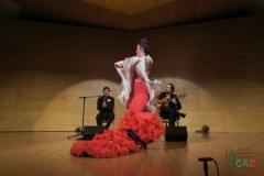 2020-01-31-Flamenco-auditorio-068