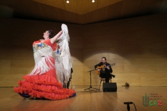2020-01-31-Flamenco-auditorio-069