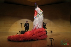 2020-01-31-Flamenco-auditorio-070