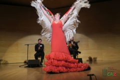 2020-01-31-Flamenco-auditorio-071