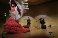 2020-01-31-Flamenco-auditorio-072