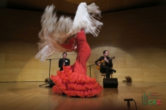 2020-01-31-Flamenco-auditorio-073