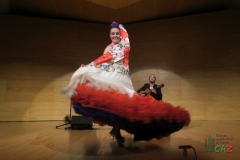 2020-01-31-Flamenco-auditorio-074