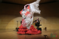 2020-01-31-Flamenco-auditorio-075