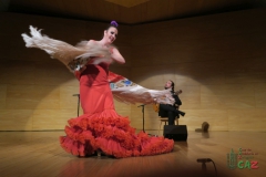 2020-01-31-Flamenco-auditorio-076