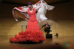 2020-01-31-Flamenco-auditorio-077