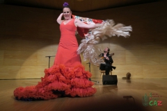 2020-01-31-Flamenco-auditorio-078