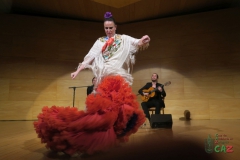 2020-01-31-Flamenco-auditorio-079