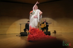 2020-01-31-Flamenco-auditorio-080