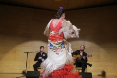 2020-01-31-Flamenco-auditorio-081