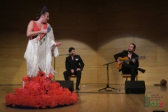 2020-01-31-Flamenco-auditorio-082