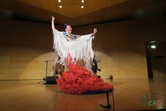 2020-01-31-Flamenco-auditorio-085