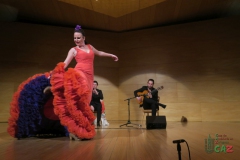 2020-01-31-Flamenco-auditorio-086