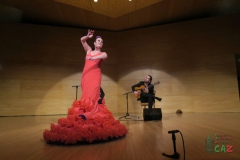 2020-01-31-Flamenco-auditorio-087
