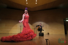 2020-01-31-Flamenco-auditorio-088