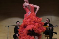 2020-01-31-Flamenco-auditorio-089