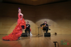 2020-01-31-Flamenco-auditorio-090