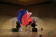 2020-01-31-Flamenco-auditorio-091