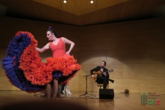 2020-01-31-Flamenco-auditorio-093
