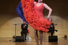 2020-01-31-Flamenco-auditorio-094
