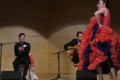 2020-01-31-Flamenco-auditorio-095