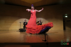 2020-01-31-Flamenco-auditorio-096