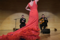 2020-01-31-Flamenco-auditorio-097