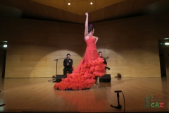 2020-01-31-Flamenco-auditorio-098