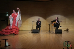 2020-01-31-Flamenco-auditorio-100