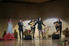 2020-01-31-Flamenco-auditorio-101