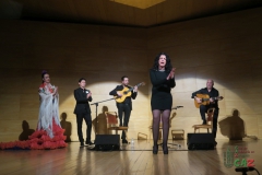 2020-01-31-Flamenco-auditorio-102