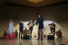2020-01-31-Flamenco-auditorio-103