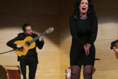 2020-01-31-Flamenco-auditorio-104