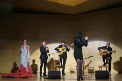 2020-01-31-Flamenco-auditorio-106