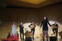 2020-01-31-Flamenco-auditorio-107