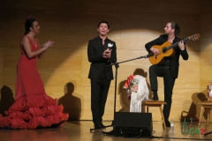 2020-01-31-Flamenco-auditorio-108