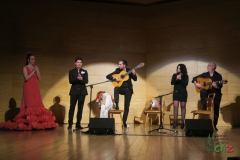 2020-01-31-Flamenco-auditorio-109