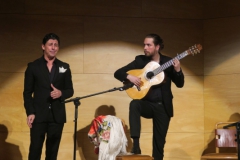 2020-01-31-Flamenco-auditorio-110