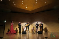 2020-01-31-Flamenco-auditorio-111