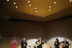 2020-01-31-Flamenco-auditorio-112