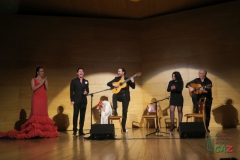 2020-01-31-Flamenco-auditorio-113