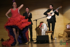 2020-01-31-Flamenco-auditorio-114