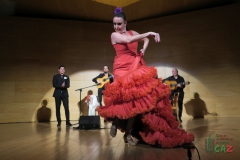 2020-01-31-Flamenco-auditorio-115