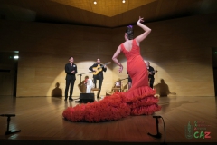 2020-01-31-Flamenco-auditorio-116