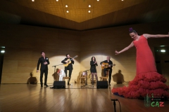 2020-01-31-Flamenco-auditorio-117